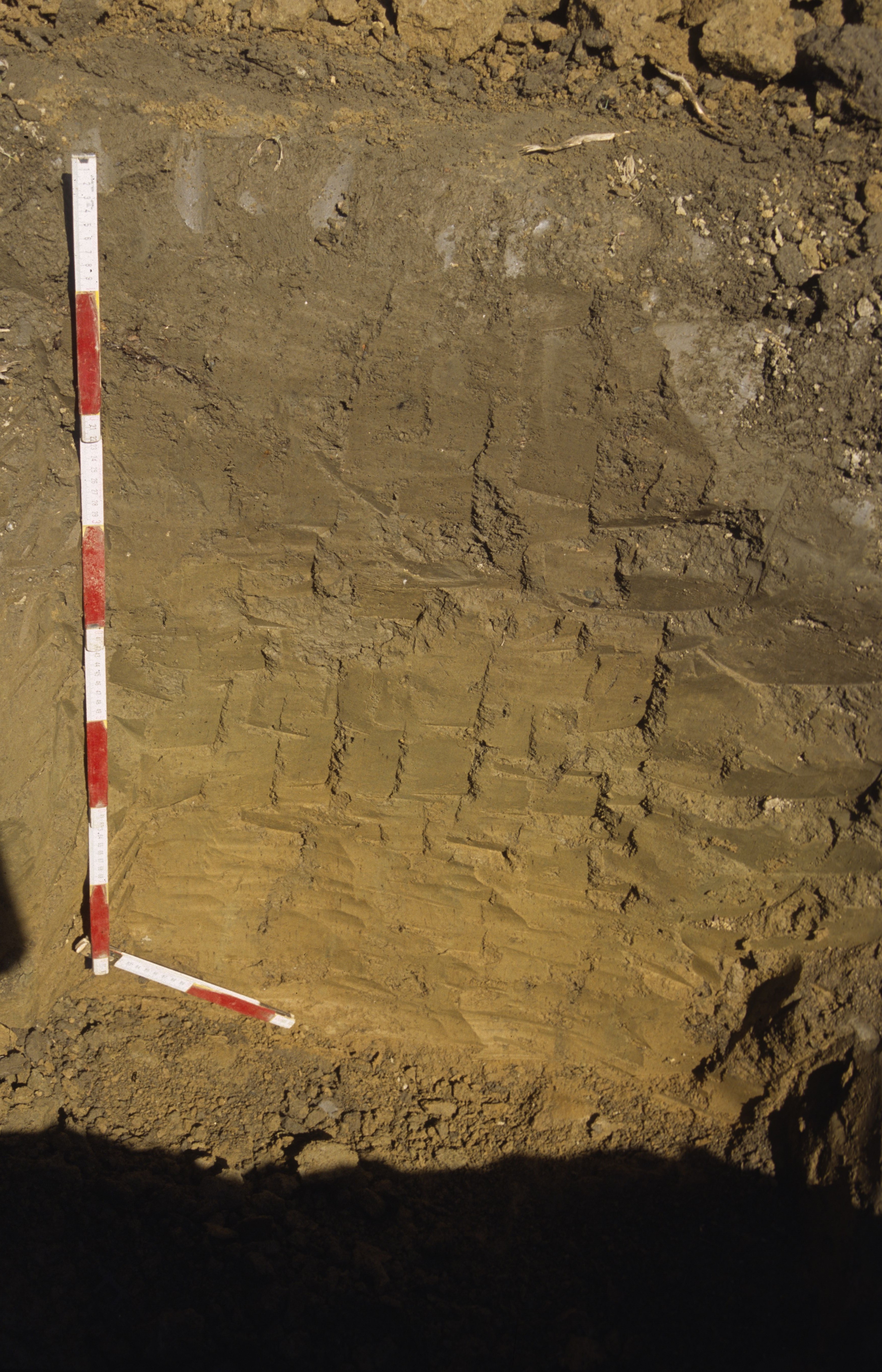 Abbildung 2: Die hier abgebildete carbonatfreie Typische Braunerde von Kalsdorf bei Graz zeigt folgende Horizontabfolge: AP: 0-25/30 cm, BvCv: 40-80 cm und Cv: 80-90 cm und tiefer (Foto: O. Nestroy) 