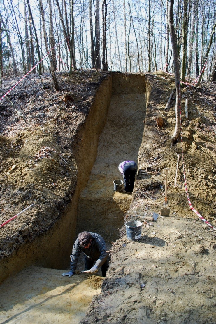 Abbildung 2: Befestigungswall der bronzezeitlichen Siedlung am Fuchskogel bei Fladnitz im Raabtal, Foto: © ISBE/G. Tiefengraber