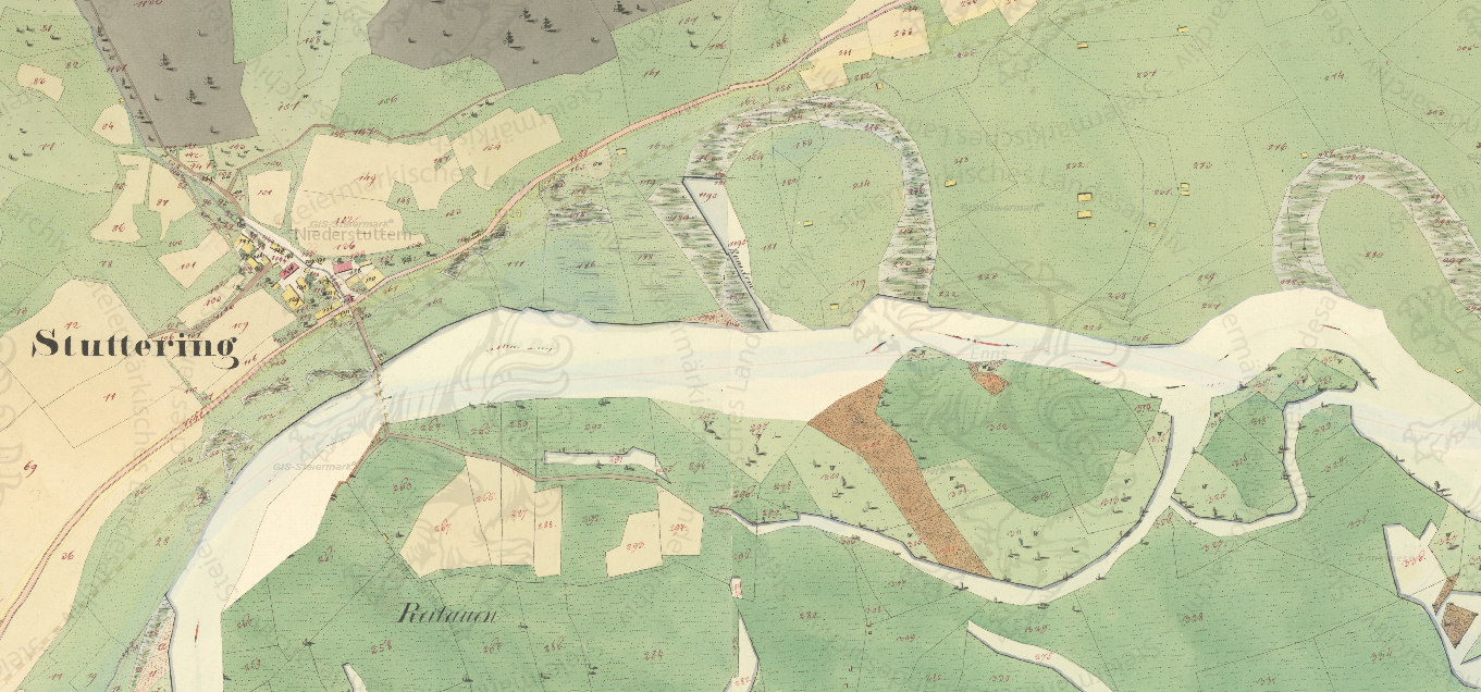 Abb. 4: Ausschnitt aus dem Franziszeischen Kataster im Bereich Niederstuttern mit Augebiet und Altarmen (Quelle: GIS Steiermark, 2018)