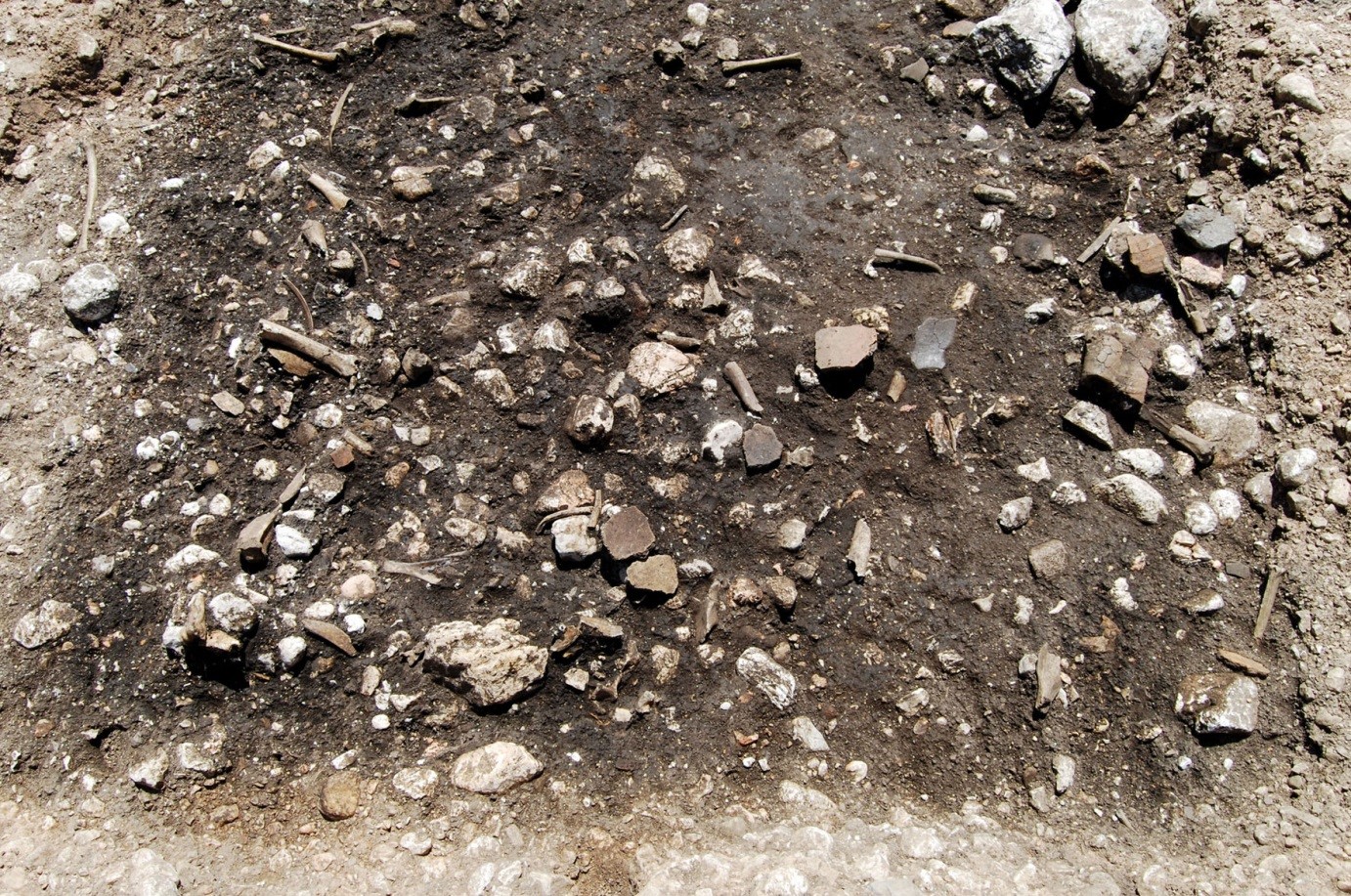 Abbildung 12: Brandopferplatz nahe der Koppentretalm bei Bad Aussee, Tierknochen und Keramikfragmente (Quelle: BDA LK Stmk/D. Modl)