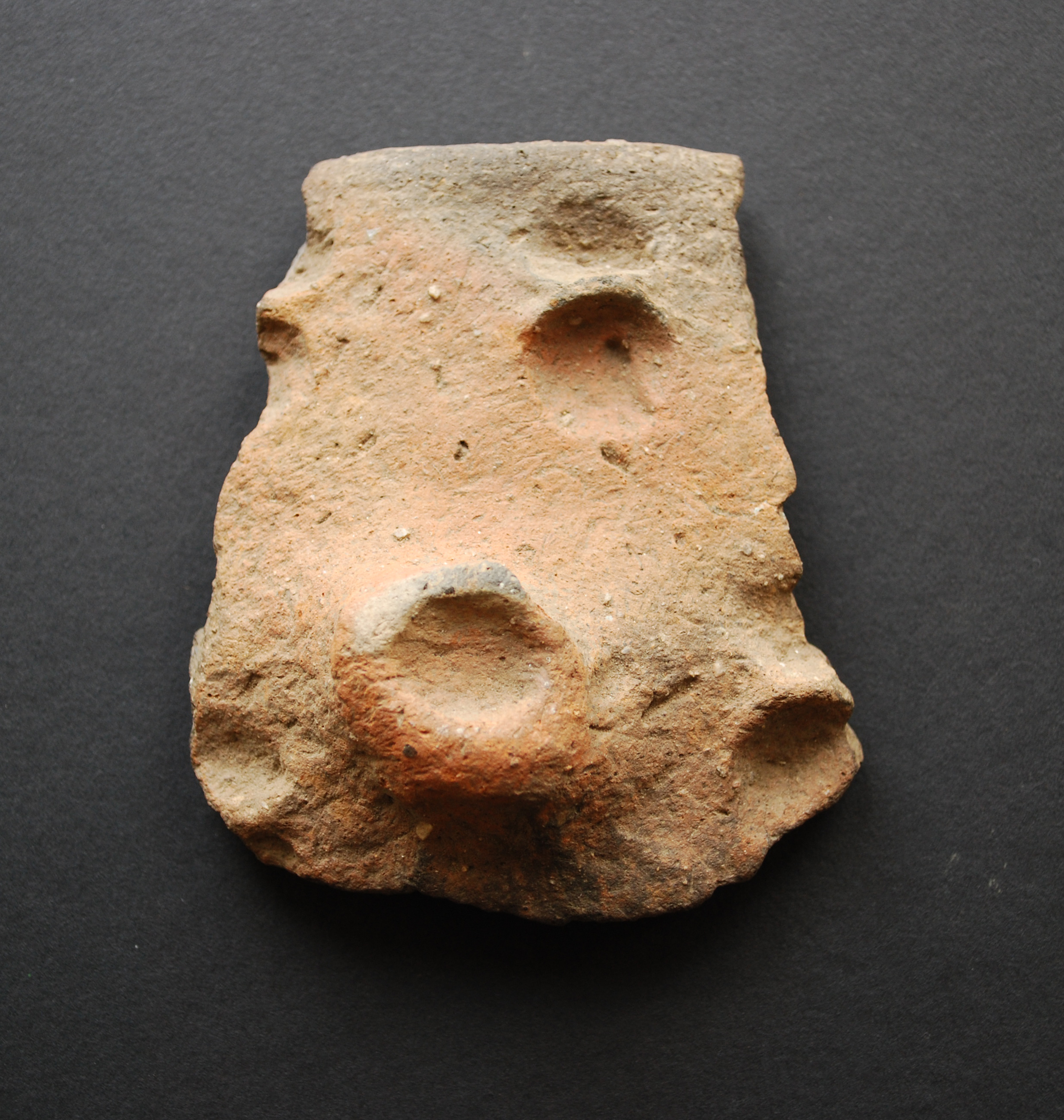 Abbildung 1: Keramik aus Alt Gleichenberg, Foto: ISBE/G. Tiefengraber