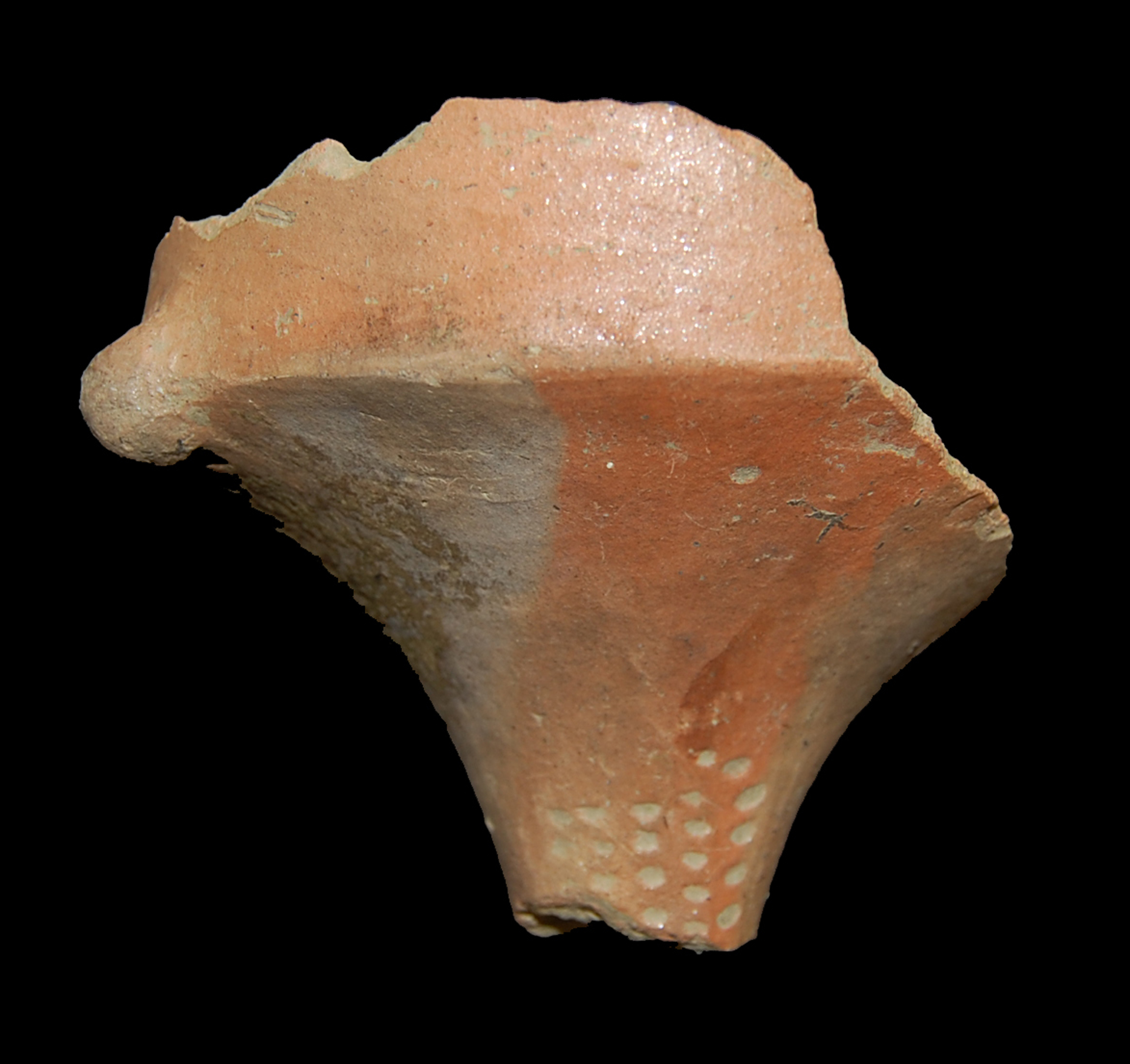 Abbildung 6: Keramikgefäßfragment vom Wildoner Schlossberg, Foto: E. Ederer