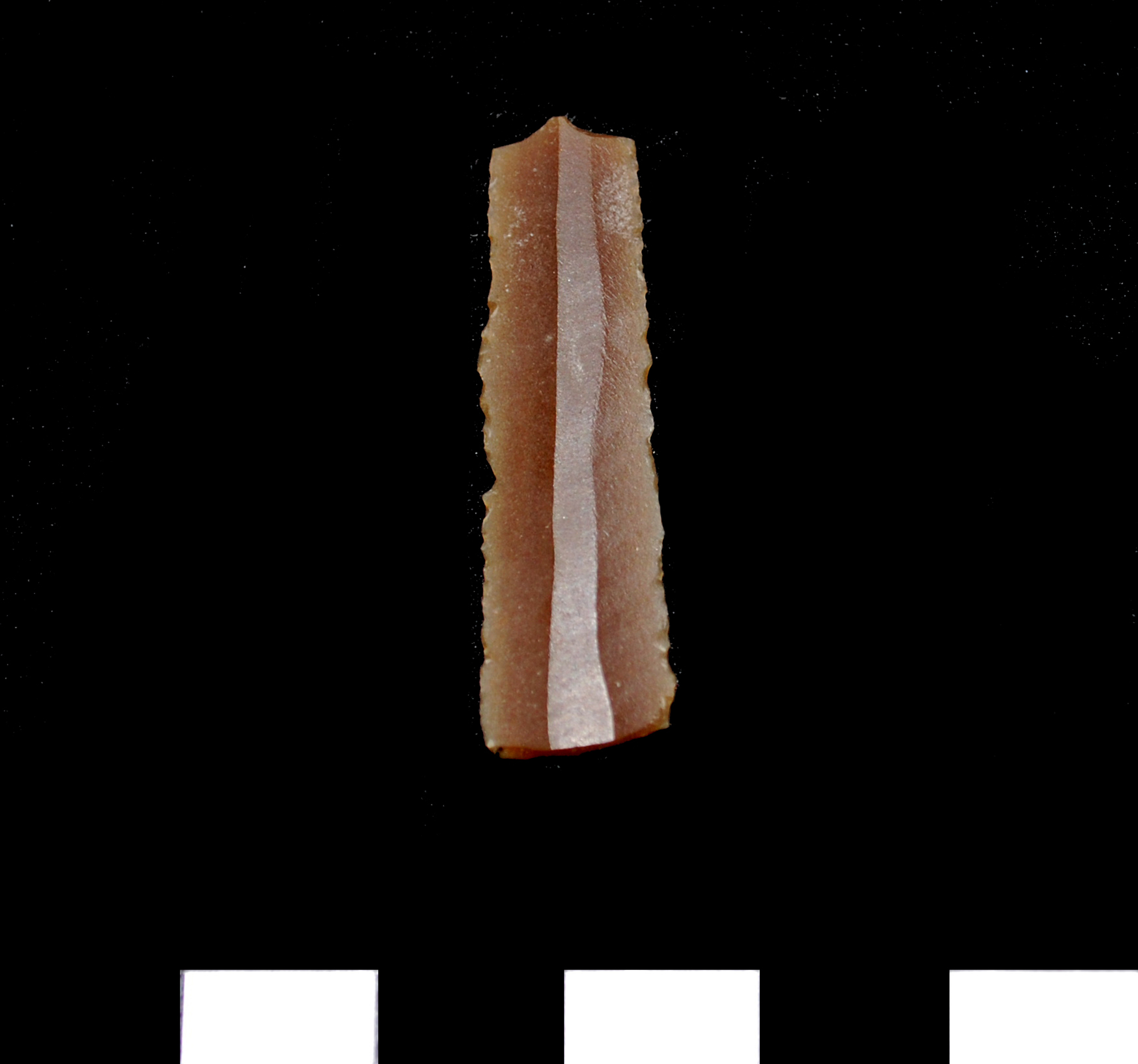 Abbildung 9: Klinge vom Wildoner Schlossberg, Foto: ISBE/G. Tiefengraber