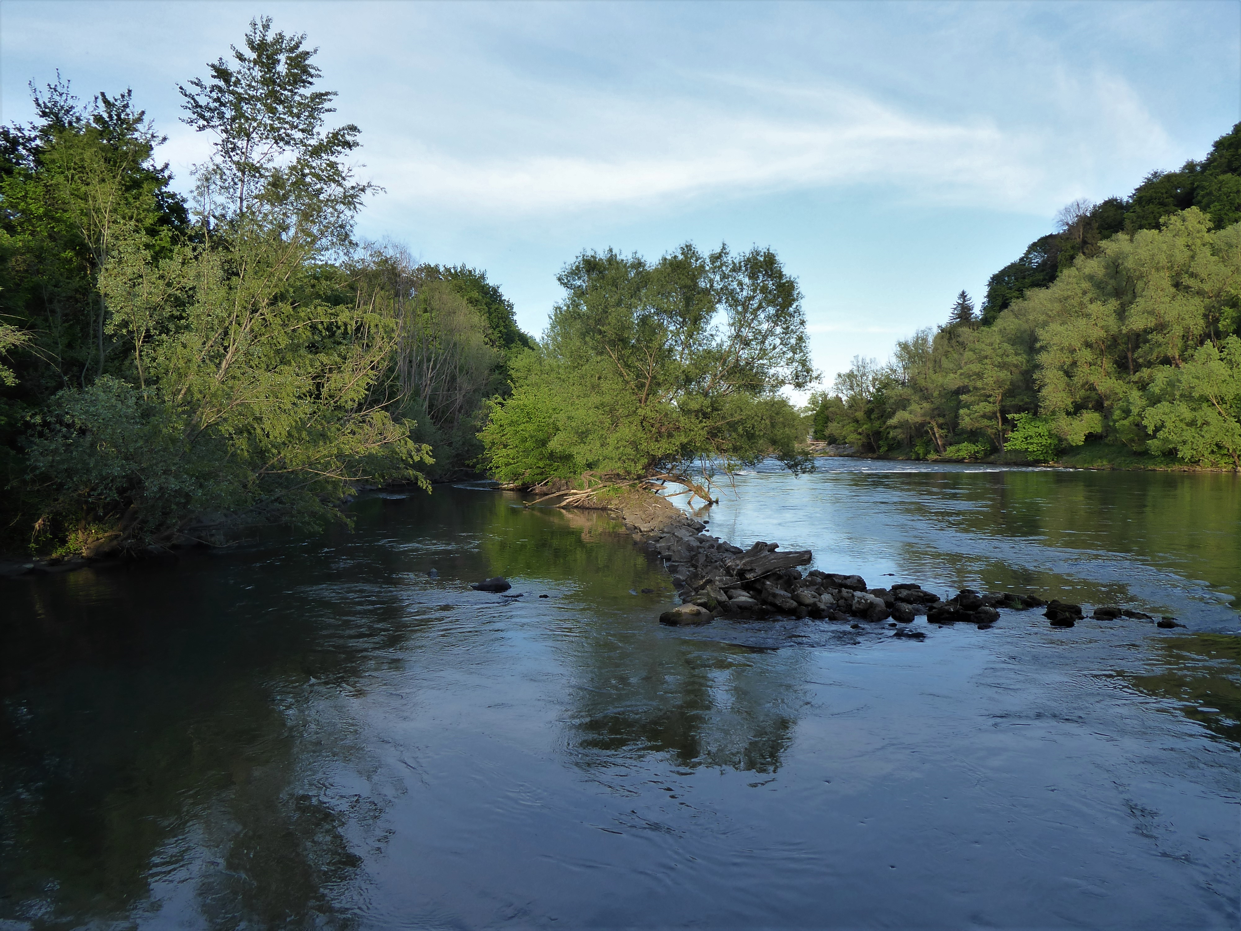 Die Mur stellt zum Teil den UNESCO-Biosphärenpark "Unteres Murtal" dar und bildet die Grenze zwischen Österreich (Steiermark) und Slowenien. (Foto: M.Lieb)
