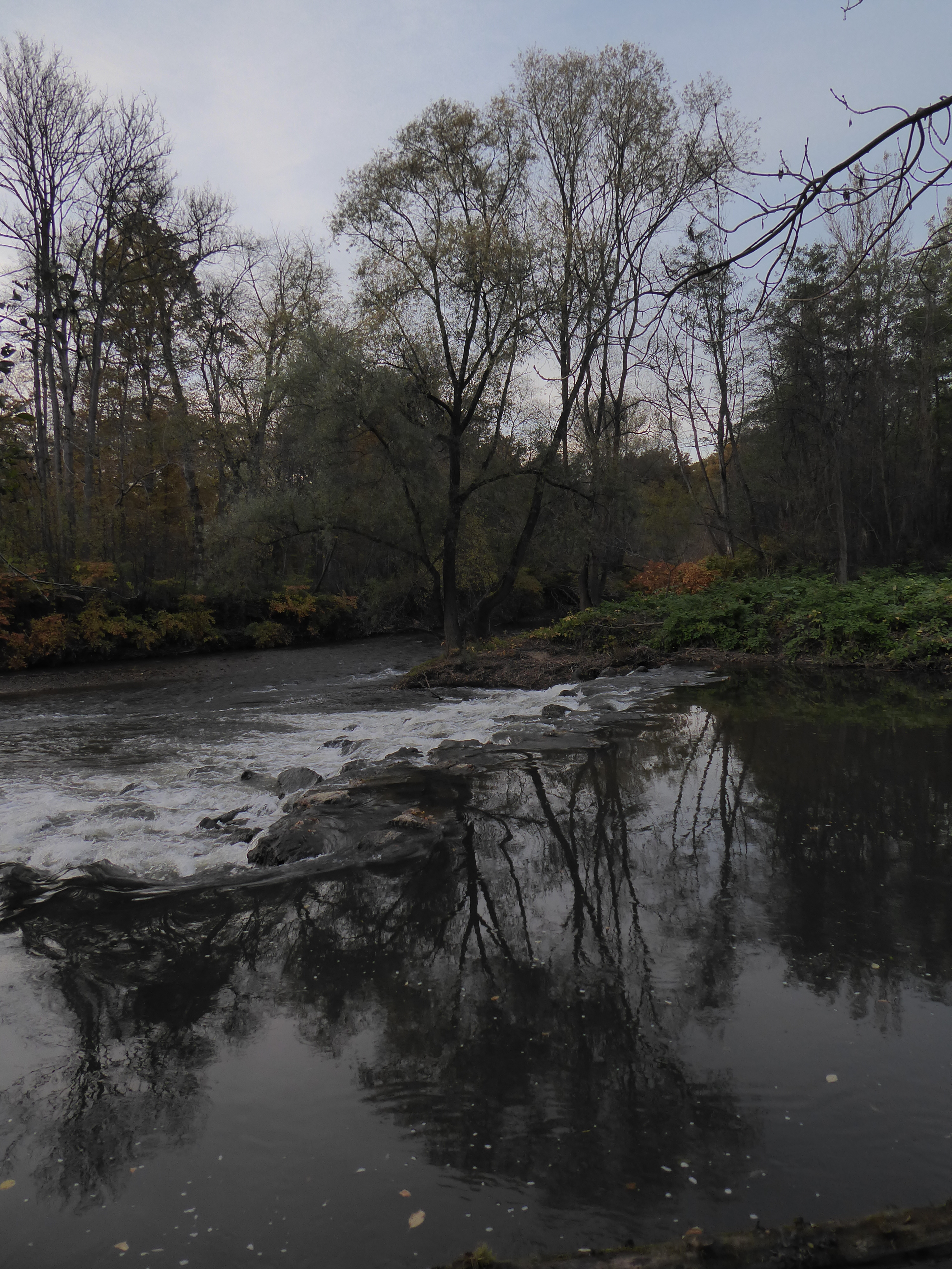 Mündung der Lassnitz in die Sulm bei Kaindorf an der Sulm in der Südsteiermark. (Foto: M.Lieb)