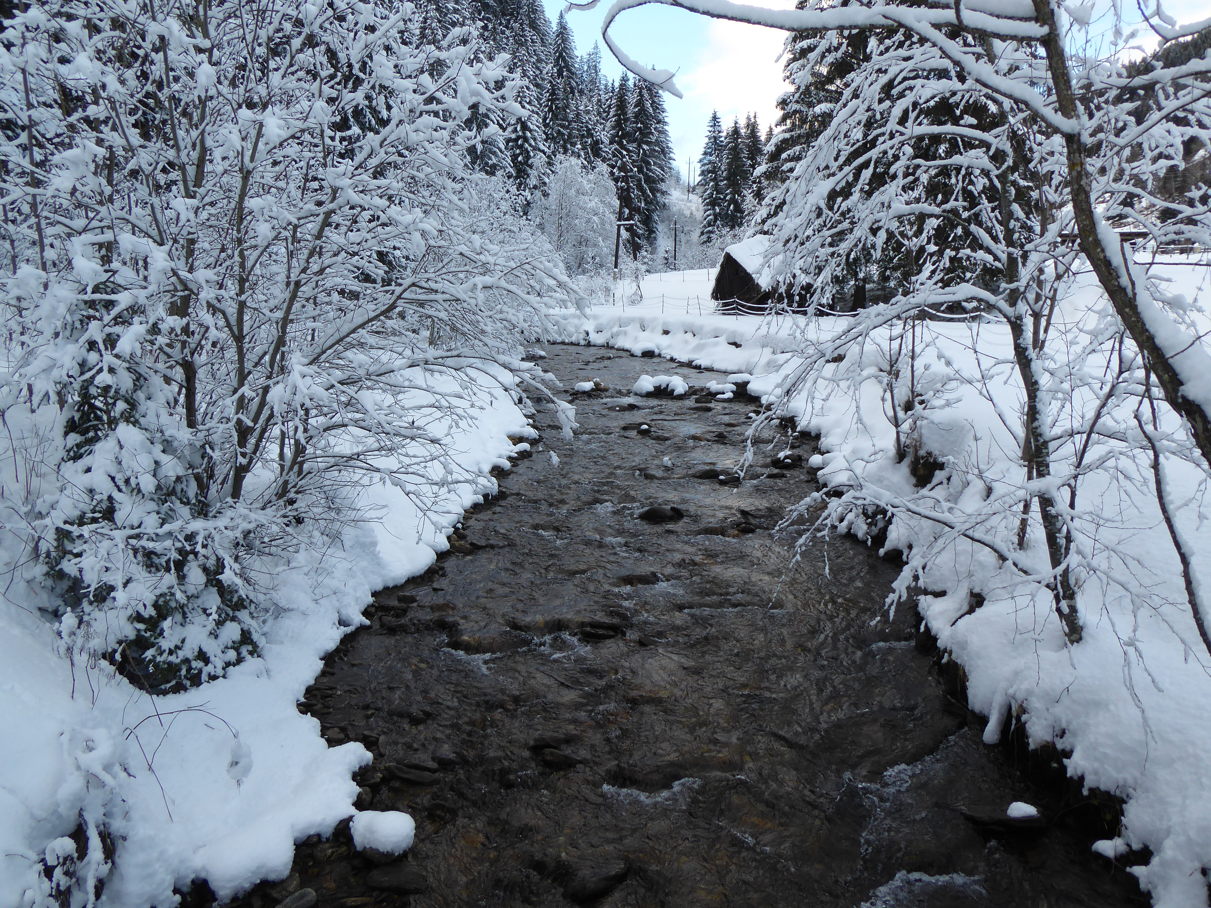 Winterstimmung an der Teigitsch bei Hirschegg in der Weststeiermark. (Foto: M.Lieb)