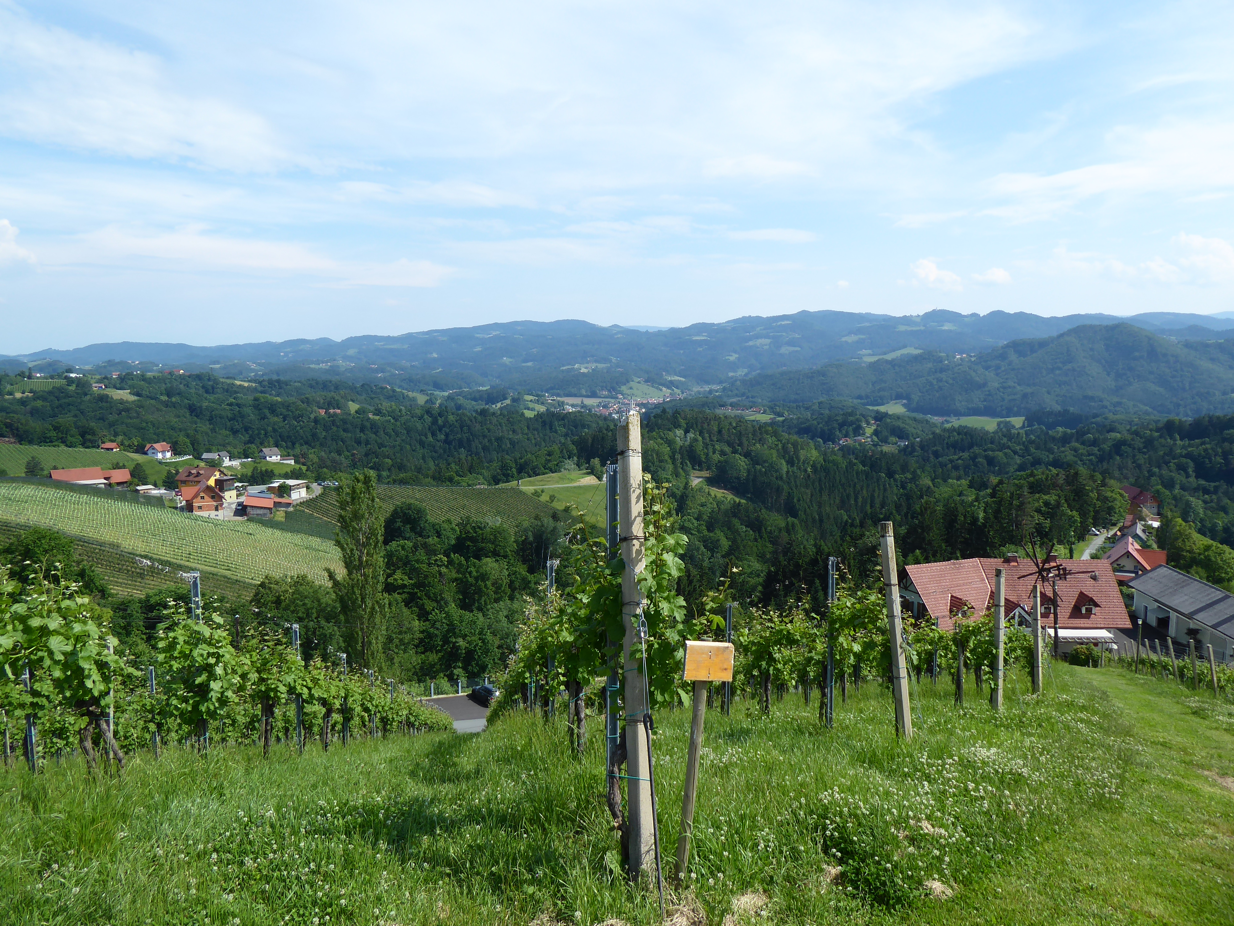 Blick auf die Gemeinde Leutschach in der Südsteiermark, die auch heute noch eine relativ hohe Agrarquote aufweist. (Foto: M. Lieb)