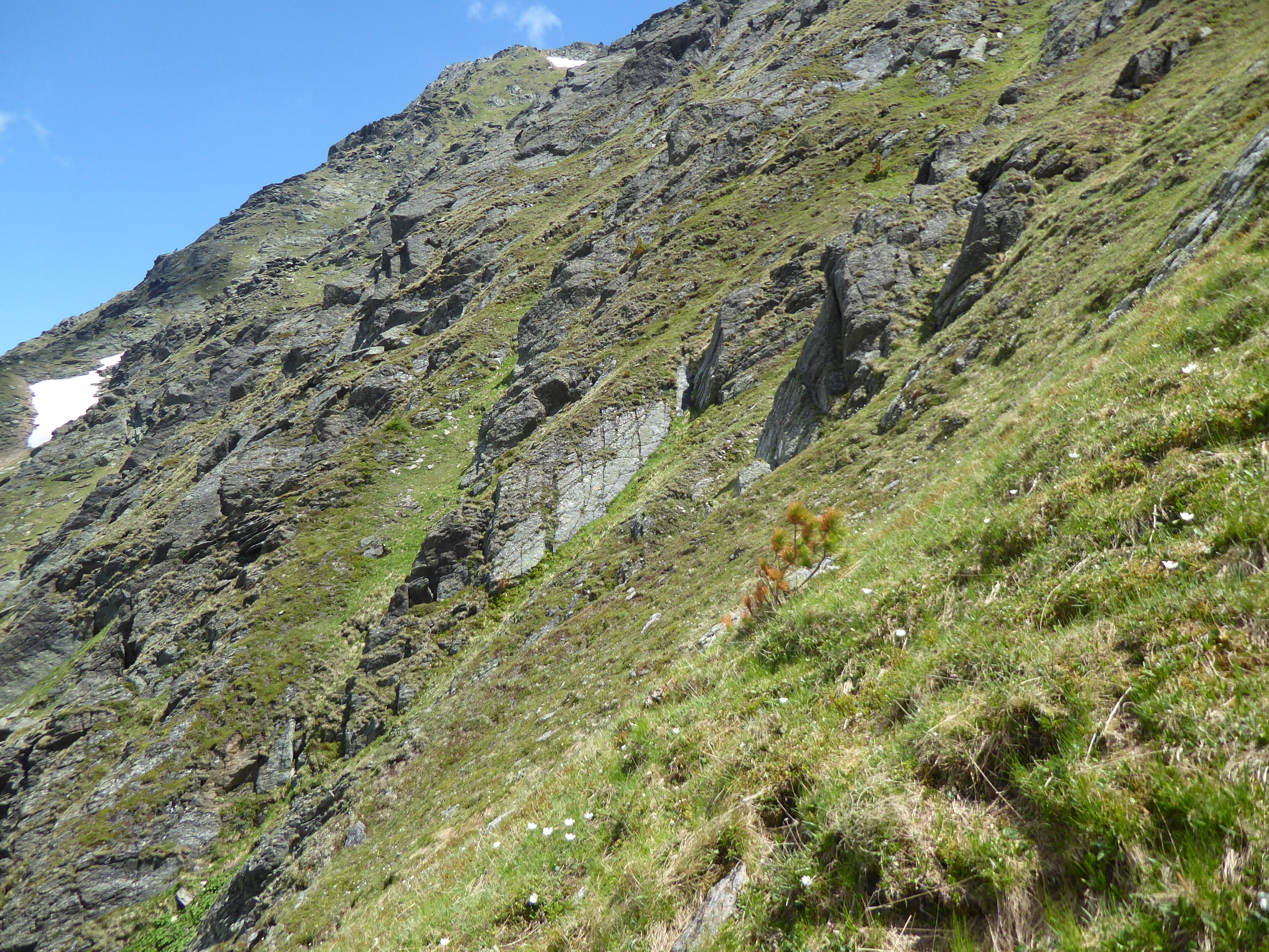 Metamorphe Gesteine am Wölzer Schober in den Wölzer Tauern (Foto: M. Lieb)