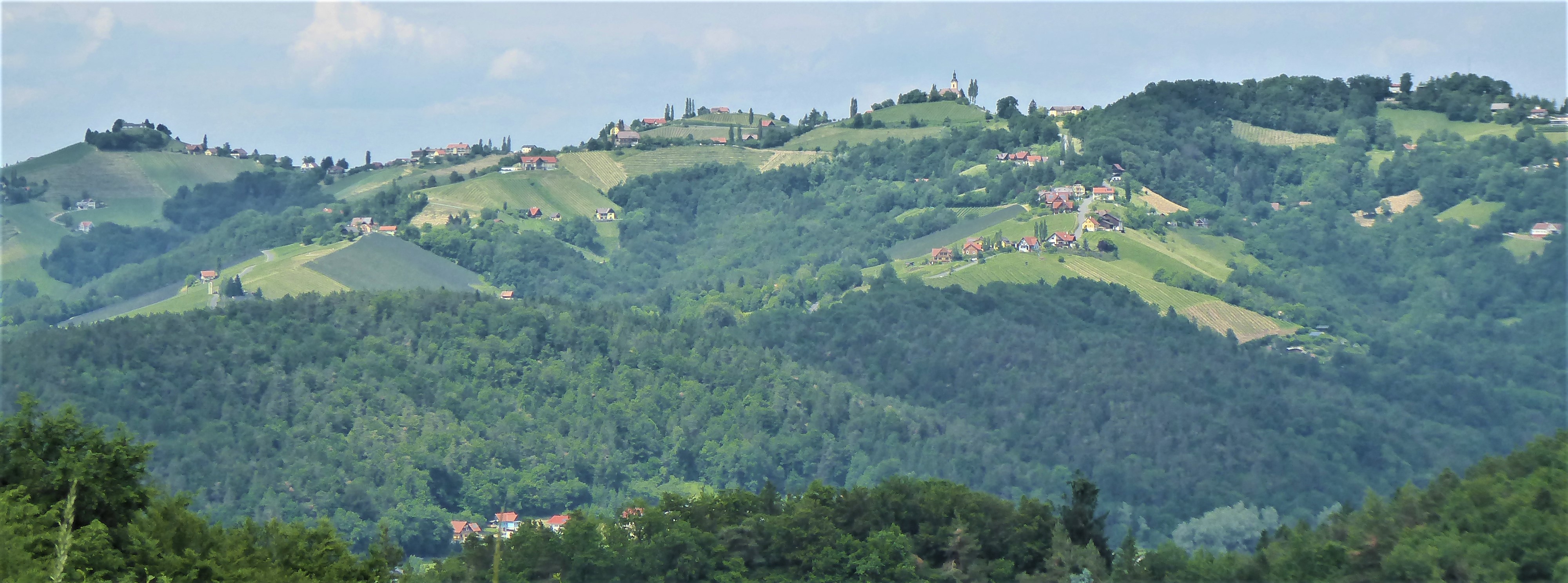 Steile Hügel mit Weinbaukultur im Sausal mit Kitzeck von Süden als Beispiel für eine Landschaft des Vorlands. (Foto: M. Lieb)