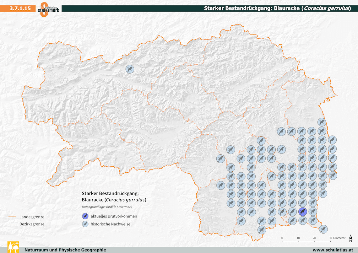 Starker Bestandrückgang