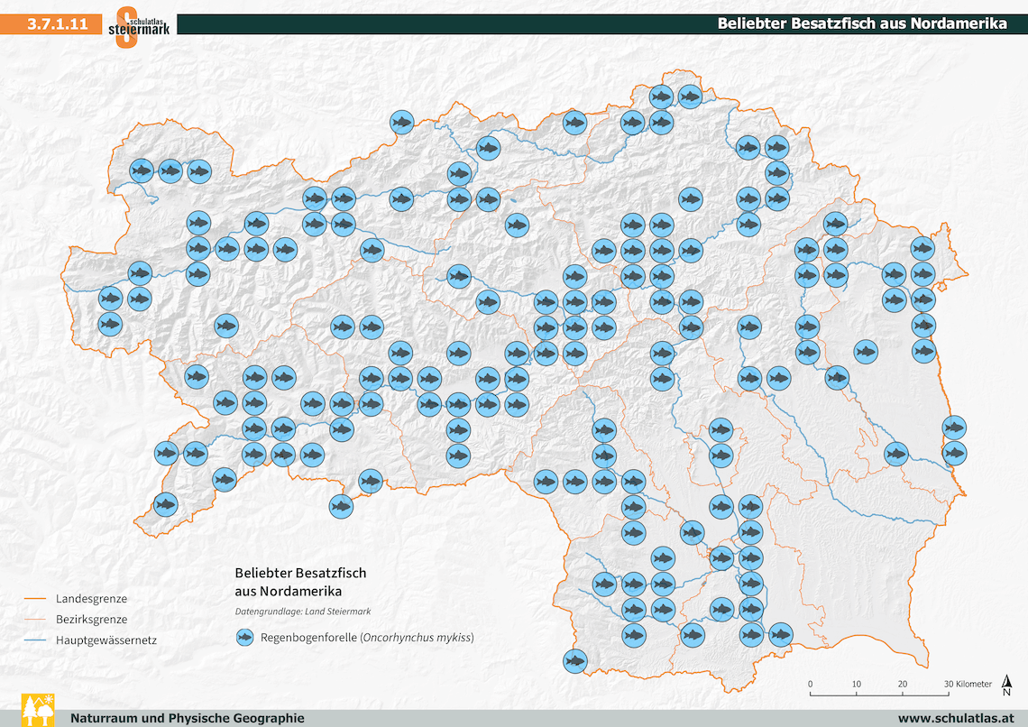Beliebter Besatzfisch aus Nordamerika