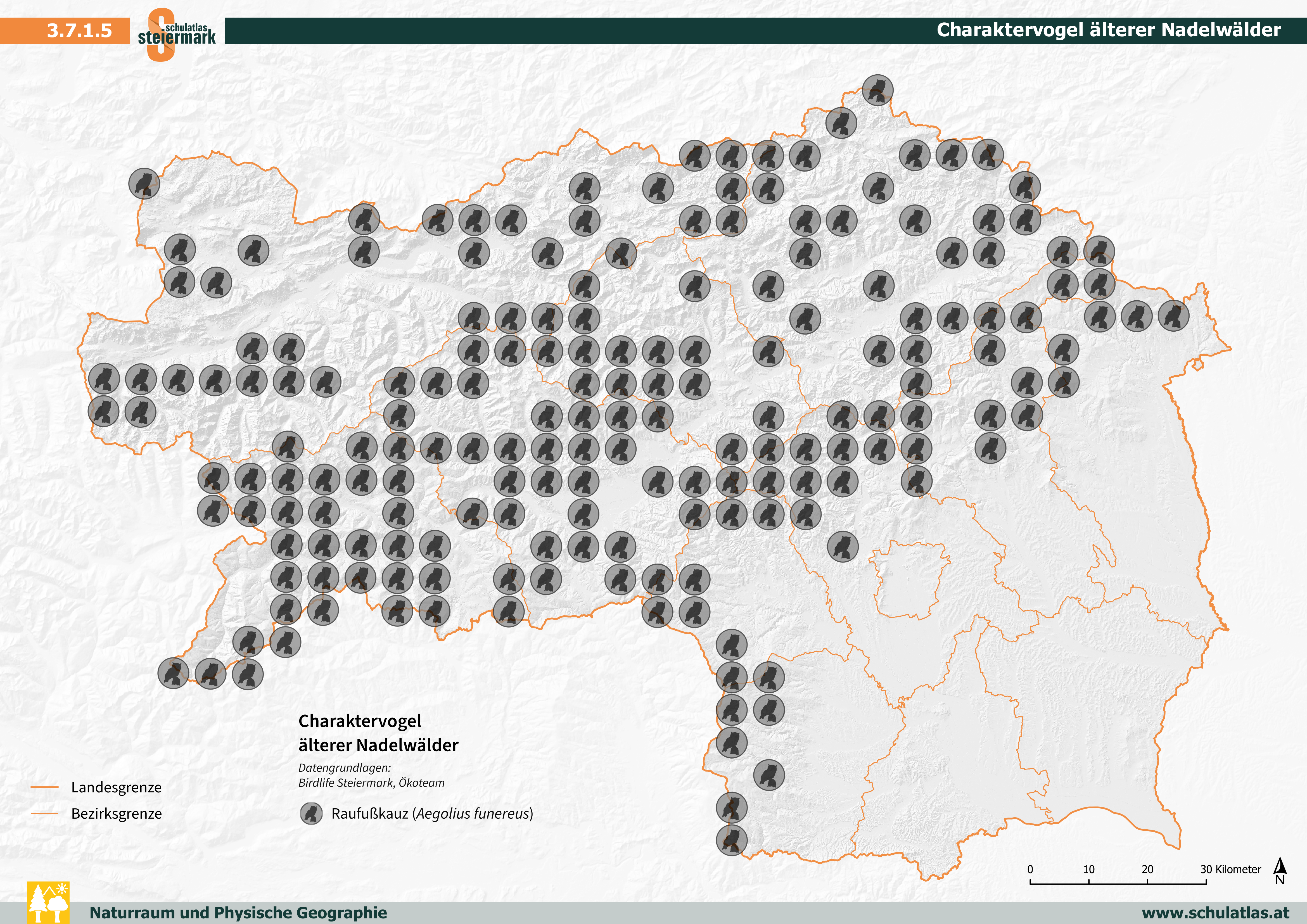 Charaktervogel älterer Nadelwälder