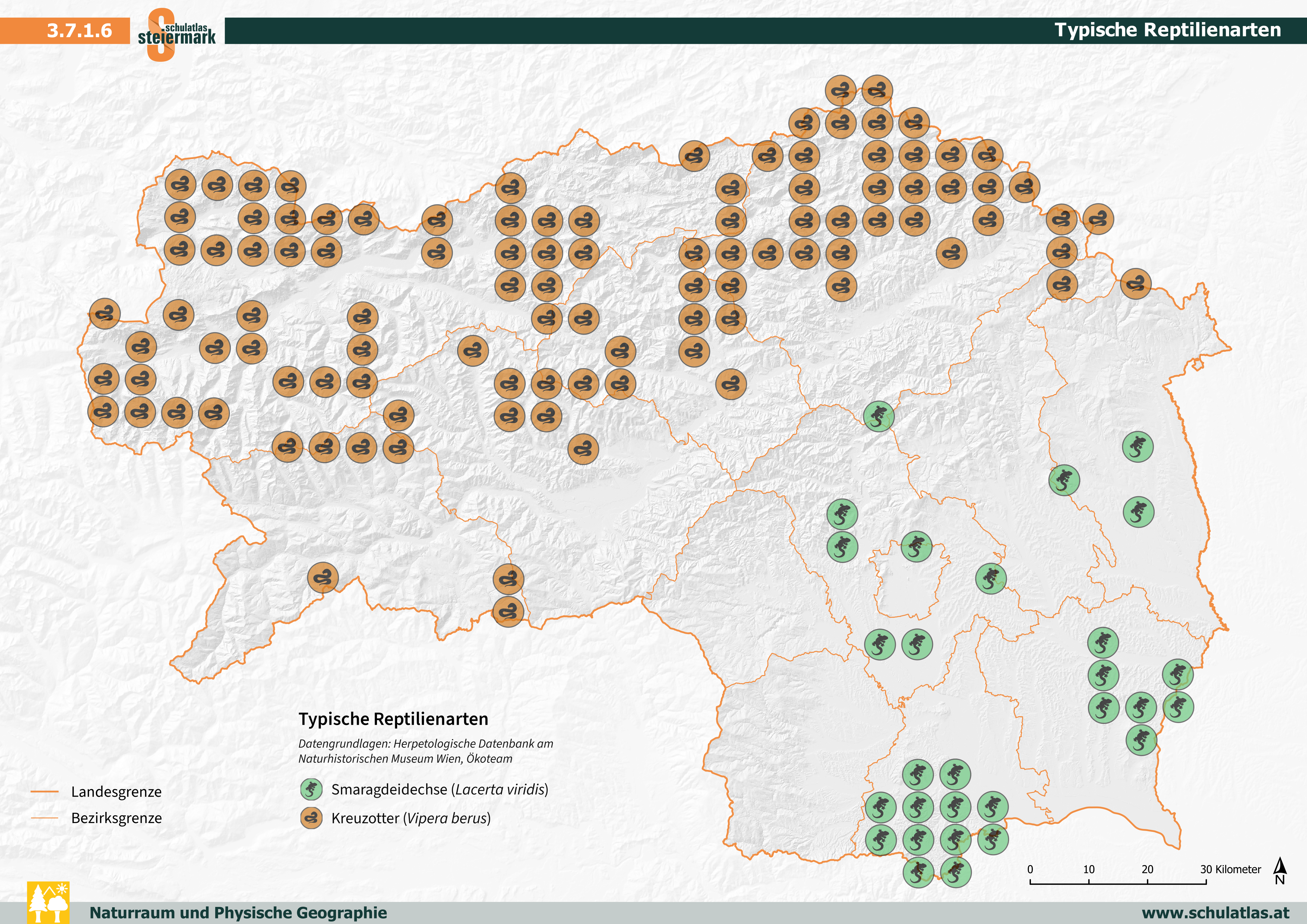 Typische Reptilienarten