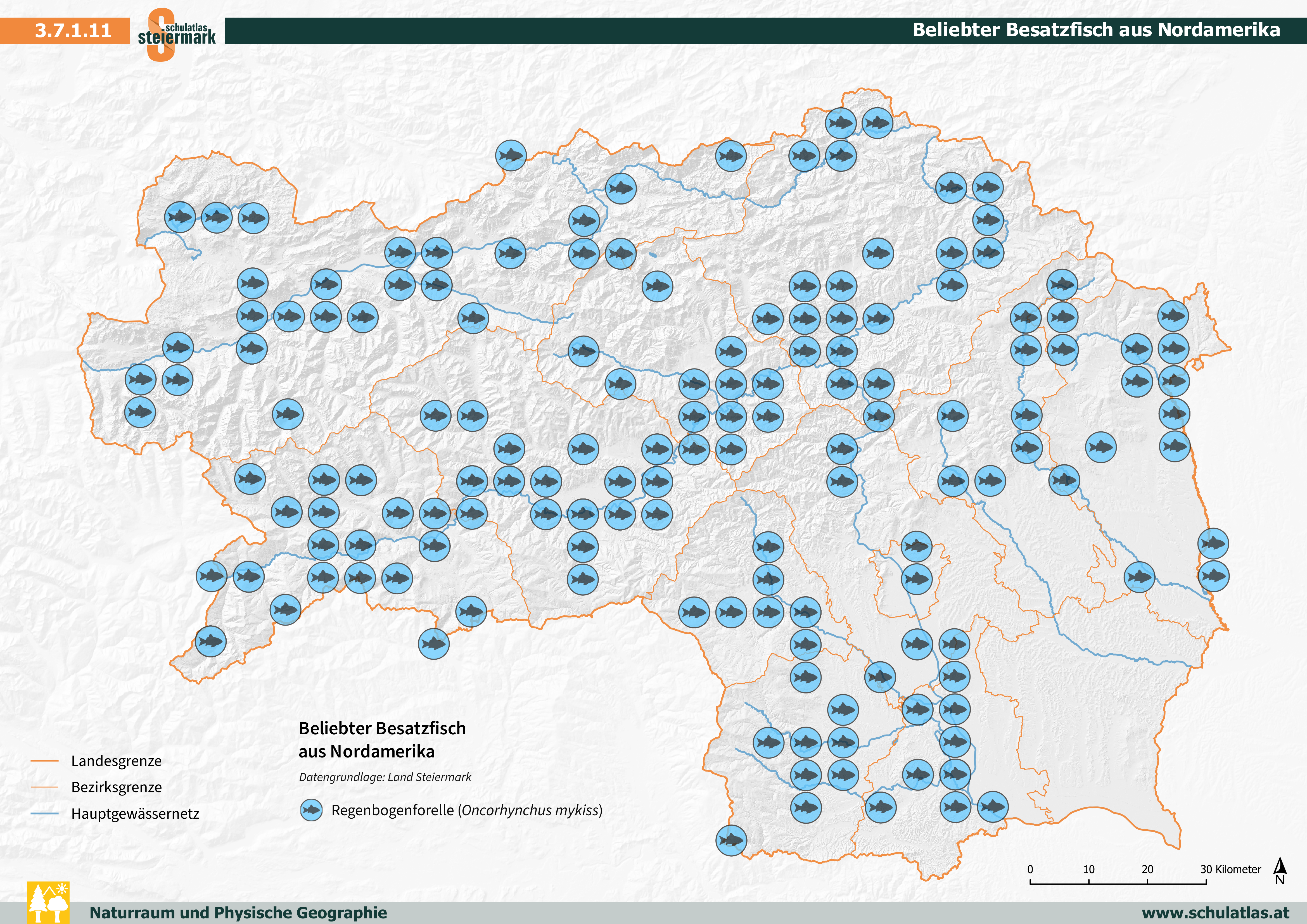 Beliebter Besatzfisch aus Nordamerika