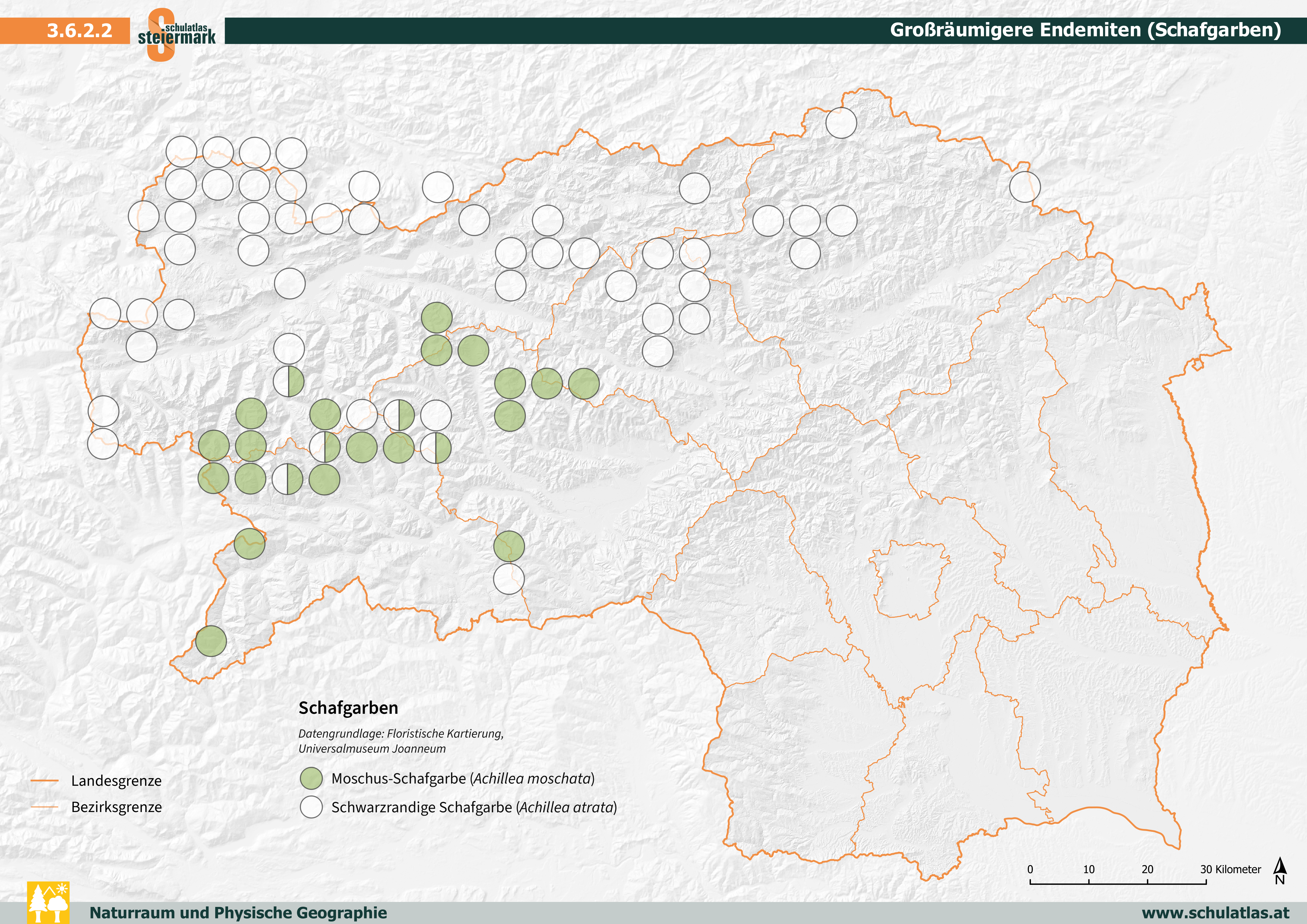 Großräumigere Endemiten (Schafgarben)